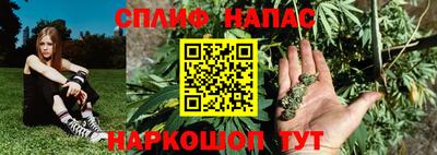 МДПВ Можга